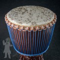Djembe 2104