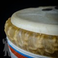 Djembe 2115
