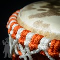 Djembe 2210