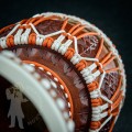 Djembe 2210