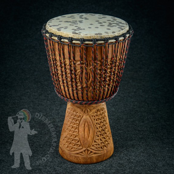 Djembe IL 2203