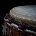 Djembe IL 2206