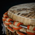 Djembe 2310