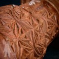 Djembe Shell 2504