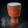 Djembe IL 2523
