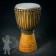 Djembe IL 2526