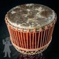 Djembe 2513 - Kolo Kolo series Nr.3