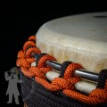 Djembe 2521