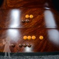 Djembe 2521