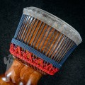 Djembe 2522