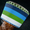 Djembe 2524