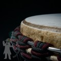 Djembe 2529