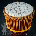 Djembe 2528