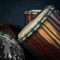 Medium Doundouns 2513