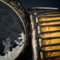 Mini Doundouns 2511