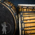 Mini Doundouns 2512