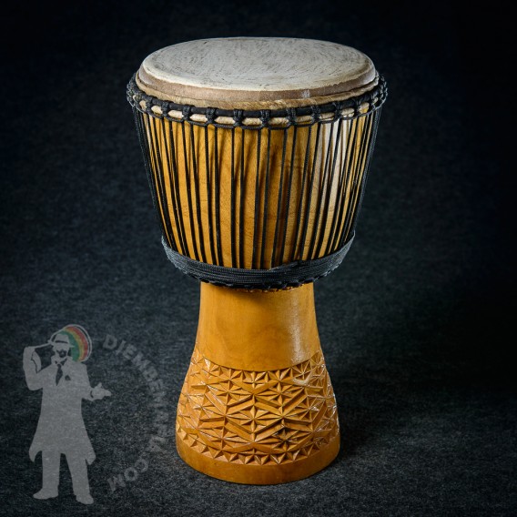 Djembe IL 2538