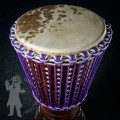 Djembe 2533