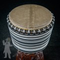 TGSS Djembe 31