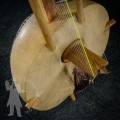 Kora 2601