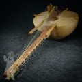 Kora 2601