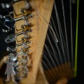 Kora 2601