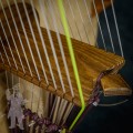 Kora 2601