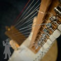 Kora 2602