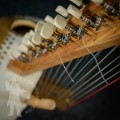 Kora 2602