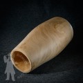 Congo Shell 2601