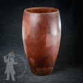 Congo Shell 2604