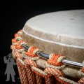 Djembe 2613