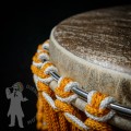 Djembe 2617
