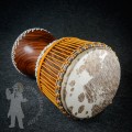 Djembe 2617