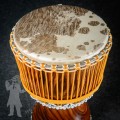Djembe 2617
